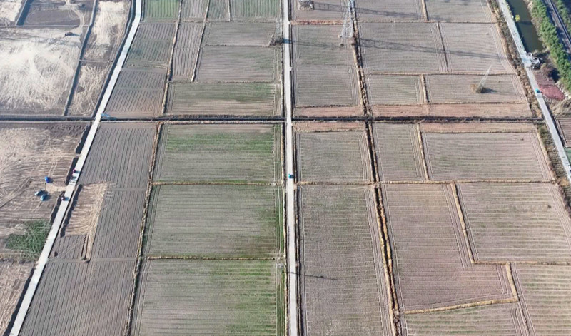 皖歙縣桂林鎮(zhèn)：土地流轉(zhuǎn)顯生機(jī) 產(chǎn)業(yè)融合增勢(shì)能