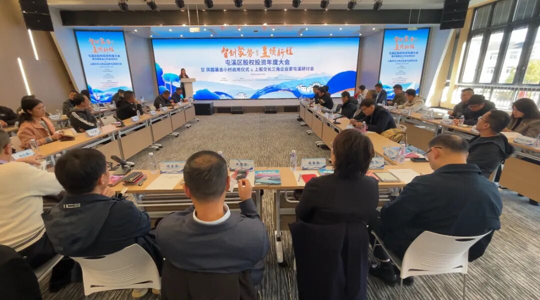 皖屯溪區(qū)：長(zhǎng)三角企業(yè)家聚焦鳳霞基金小村