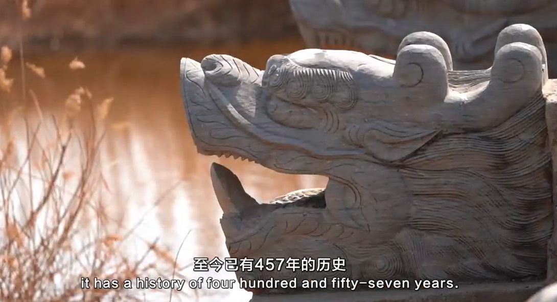 【視聽(tīng)山東】瞧瞧「橋堅(jiān)強(qiáng)」