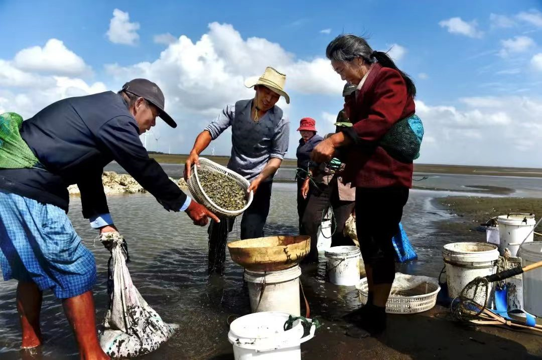 東海鎮(zhèn)擁有11.9公里海岸線、2萬(wàn)多畝灘涂，漁業(yè)資源得天獨(dú)厚。.jpg