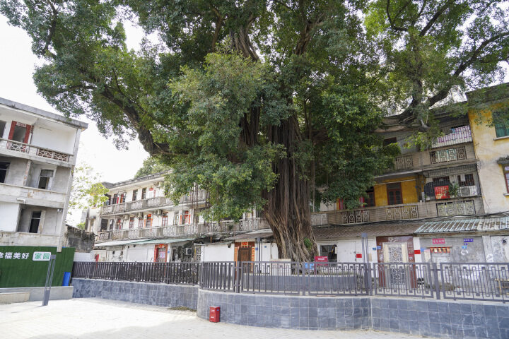 3、國(guó)民革命軍東征 周恩來演講舊址2.jpg