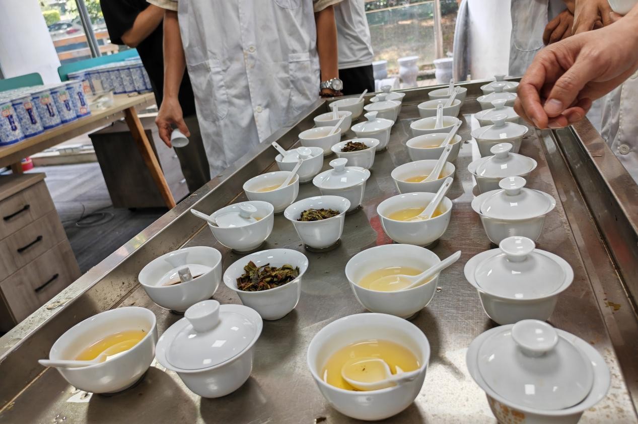 現(xiàn)場評審茶樣.jpg